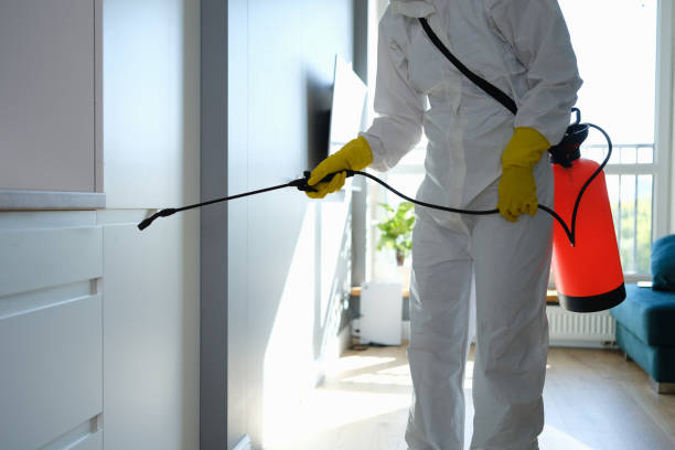 Trusted Big Bass Lake, PA Mold Removal Experts