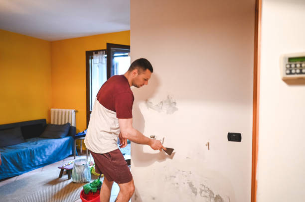 Best Commercial Mold Removal  in Big Bass Lake, PA